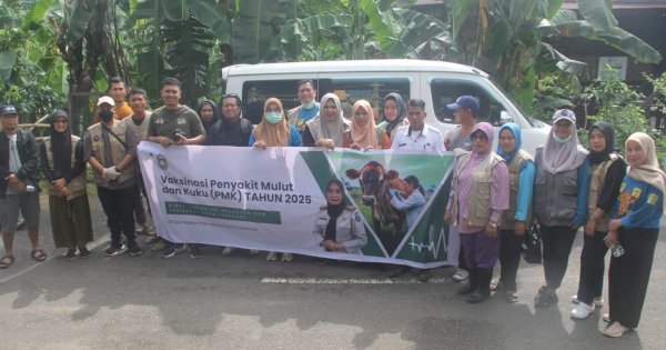 Cegah Wabah PMK, Dinas PKP Parepare Mencanangkan Bulan Vaksinasi