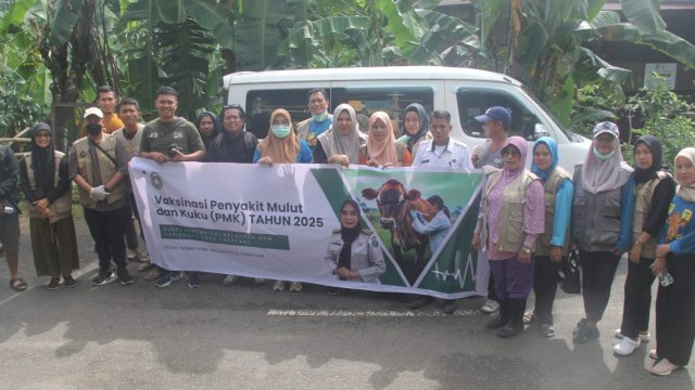 Cegah Wabah PMK, Dinas PKP Parepare Mencanangkan Bulan Vaksinasi