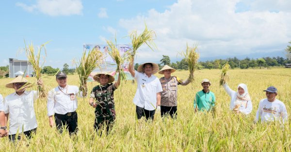 Bupati Bantaeng Uji Nurdin Ikuti Panen Raya Padi Serentak Bersama Presiden Prabowo