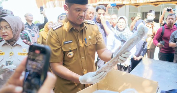 Bupati Bantaeng Uji Nurdin Lepas Ekspor Perdana Komoditi Gurita Untuk Negara Meksiko