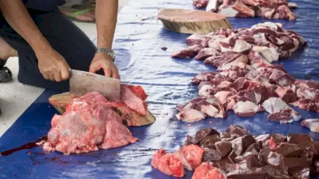 Pemkab Maros Siapkan 500 Paket Daging Kurban untuk Warga